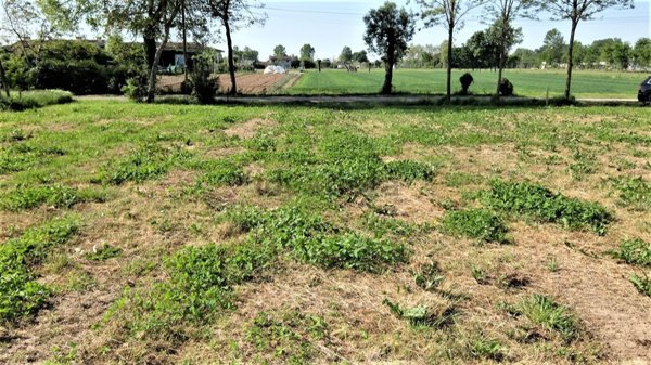 terreno edificabile in vendita a Piombino Dese in zona Levada
