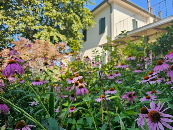 casa indipendente in vendita a Piombino Dese