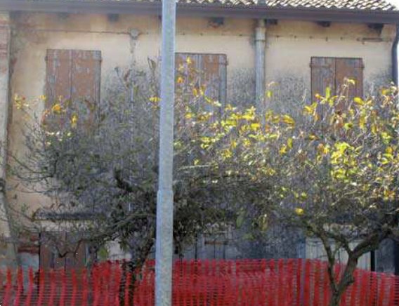 casa indipendente in vendita a Piombino Dese