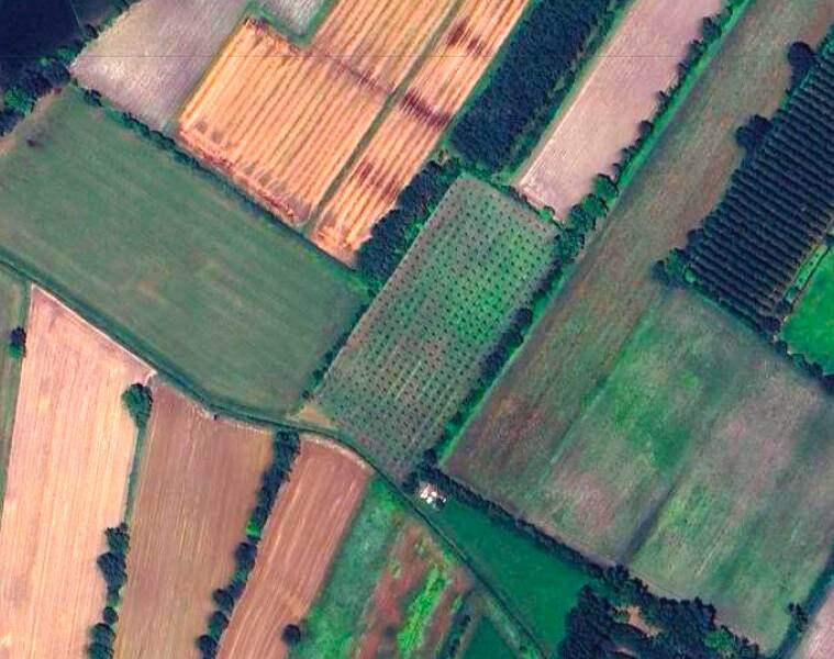 terreno agricolo in vendita a Piombino Dese