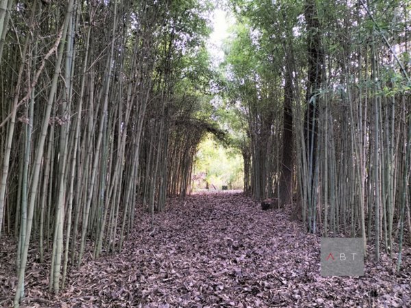 casa indipendente in vendita a Piombino Dese in zona Torreselle
