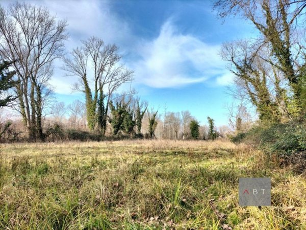 casa indipendente in vendita a Piombino Dese in zona Torreselle