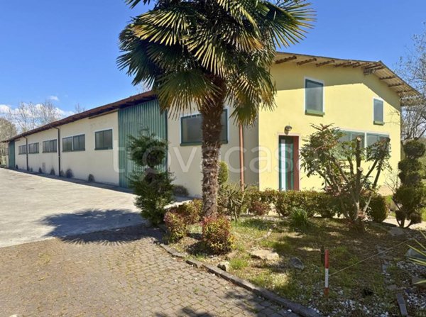 appartamento in vendita a Piombino Dese