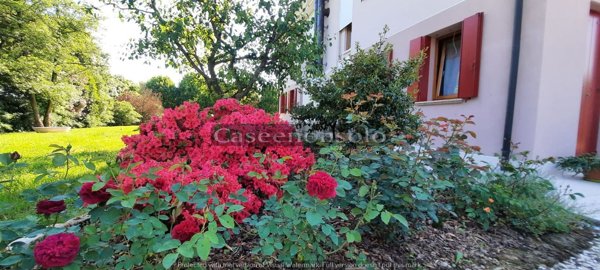 casa indipendente in vendita a Piombino Dese