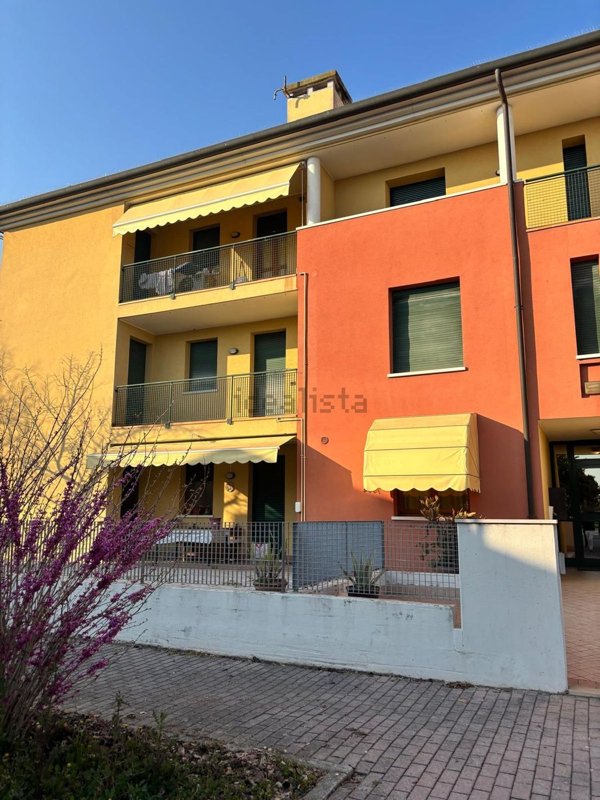 appartamento in vendita a Piombino Dese