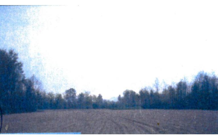 terreno agricolo in vendita a Piombino Dese in zona Torreselle