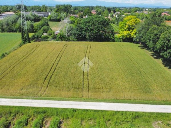 terreno agricolo in vendita a Piombino Dese