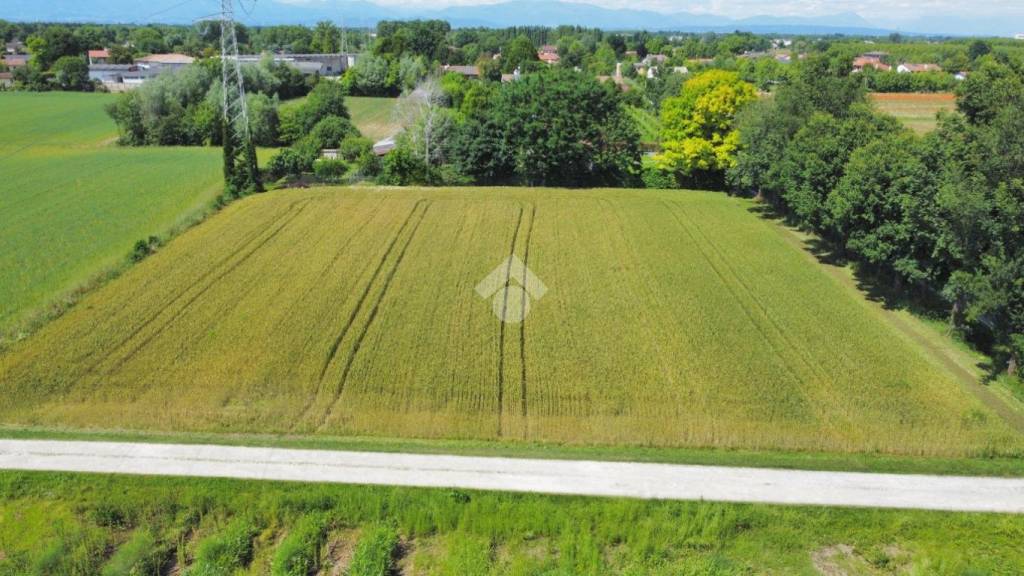 terreno agricolo in vendita a Piombino Dese