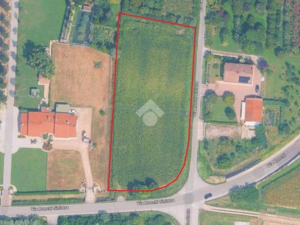 terreno agricolo in vendita a Piombino Dese