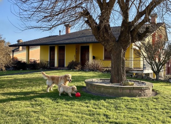 casa indipendente in vendita a Piombino Dese