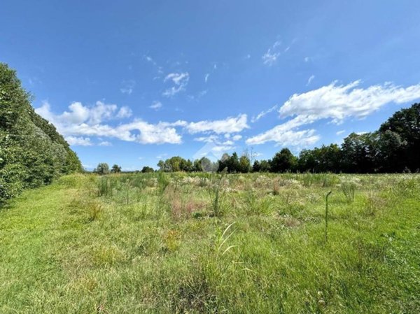 terreno agricolo in vendita a Piombino Dese in zona Torreselle