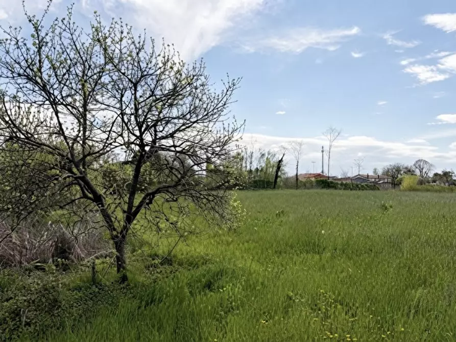 casa indipendente in vendita a Piombino Dese