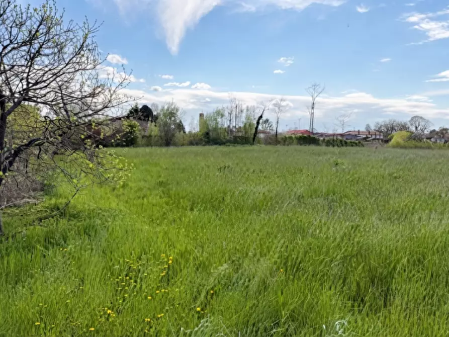 terreno in vendita a Piombino Dese
