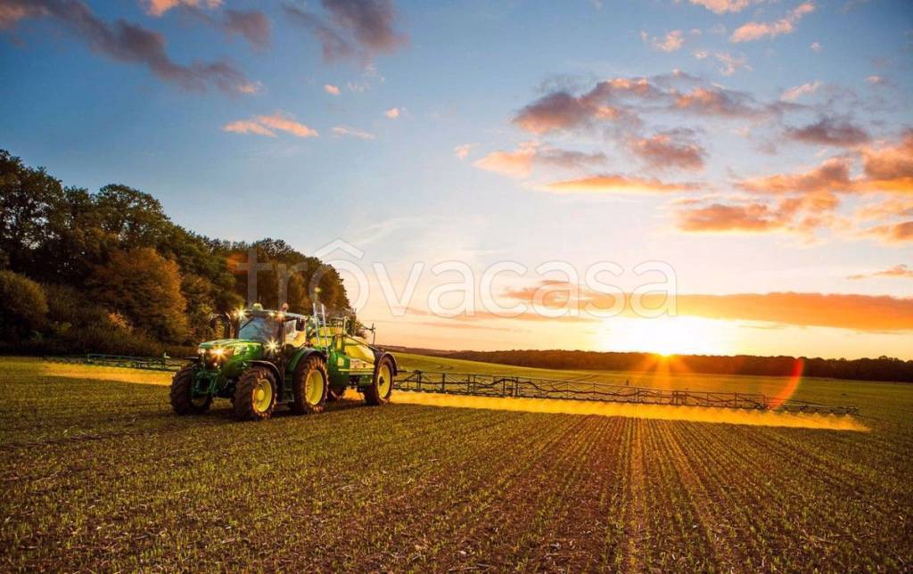 terreno agricolo in vendita a Piove di Sacco in zona Corte