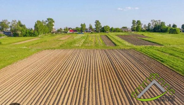 terreno agricolo in vendita a Piove di Sacco