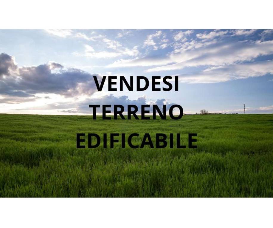 casa indipendente in vendita a Piove di Sacco