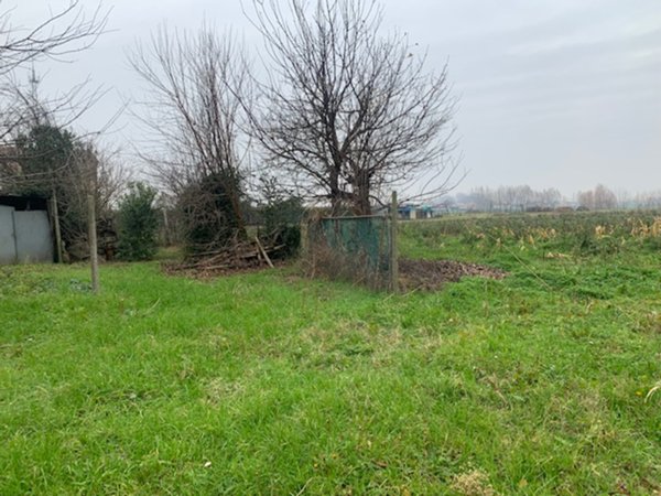 casa indipendente in vendita a Piove di Sacco