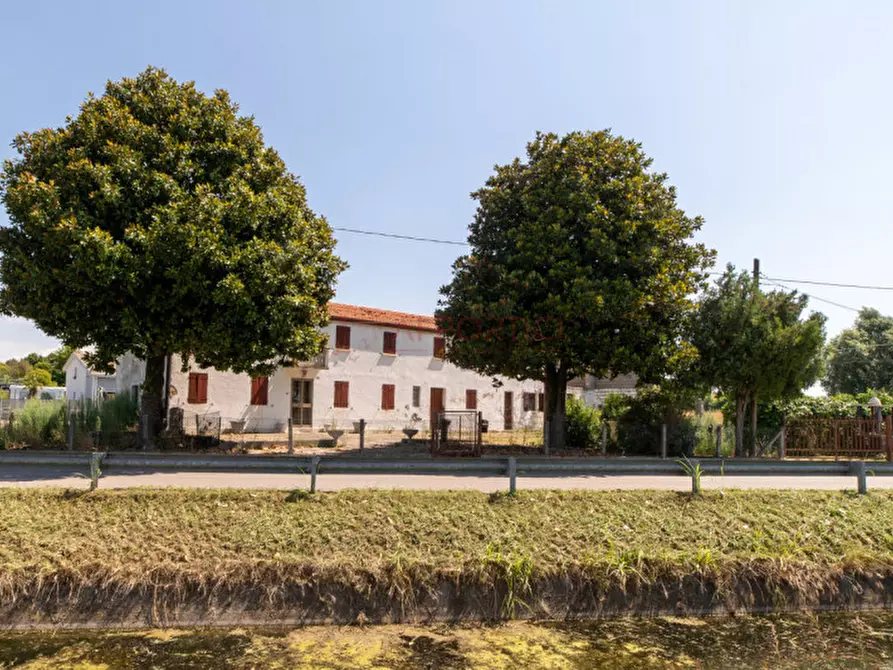 casa indipendente in vendita a Piove di Sacco in zona Corte