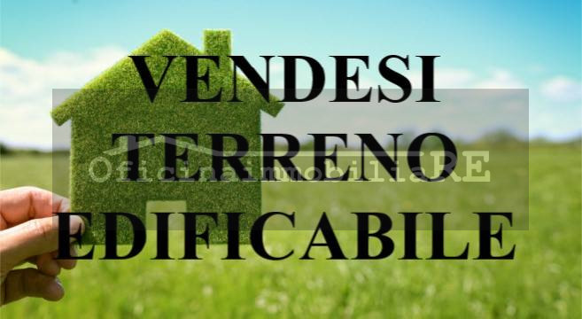 casa indipendente in vendita a Piove di Sacco in zona Corte