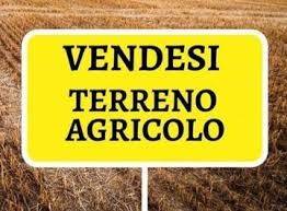 terreno agricolo in vendita a Piove di Sacco