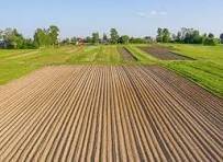terreno agricolo in vendita a Piove di Sacco