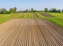 terreno agricolo in vendita a Piove di Sacco