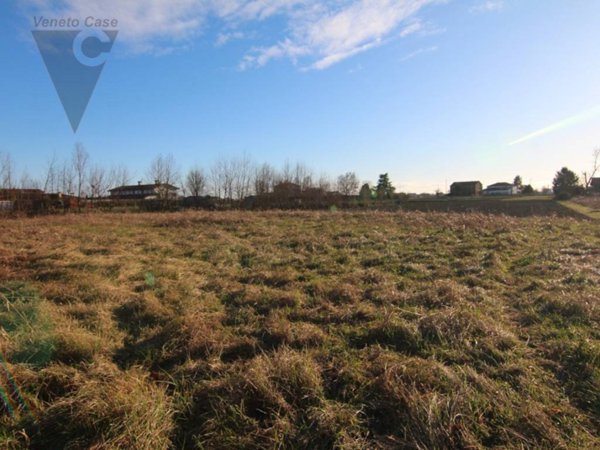 terreno agricolo in vendita a Piove di Sacco in zona Corte