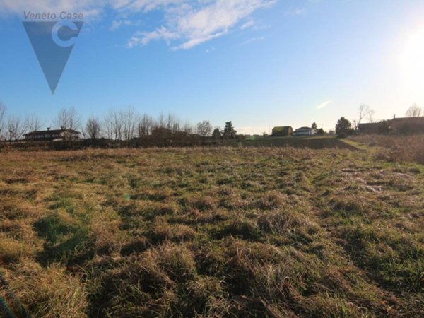 terreno agricolo in vendita a Piove di Sacco in zona Corte