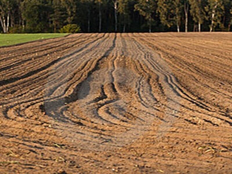 terreno agricolo in vendita a Piove di Sacco
