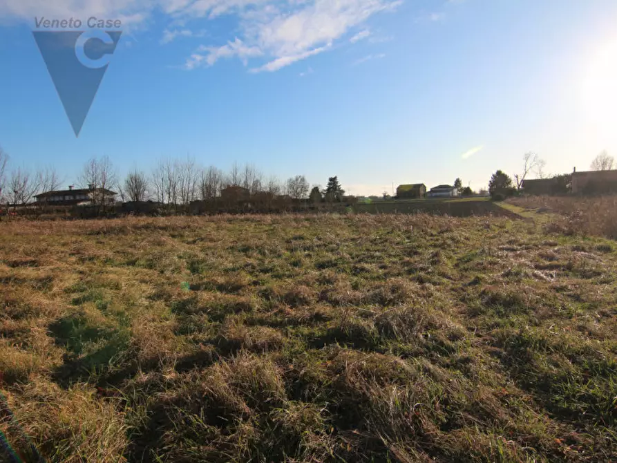 terreno edificabile in vendita a Piove di Sacco in zona Corte