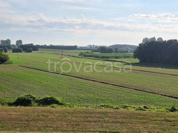 terreno agricolo in vendita a Piove di Sacco in zona Corte