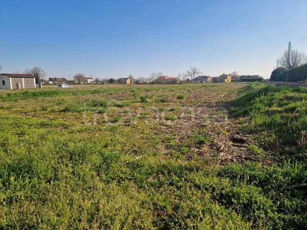 terreno agricolo in vendita a Piove di Sacco