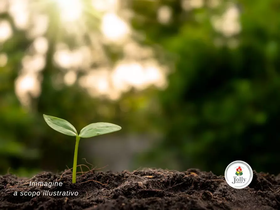 terreno agricolo in vendita a Piove di Sacco