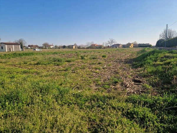 terreno agricolo in vendita a Piove di Sacco