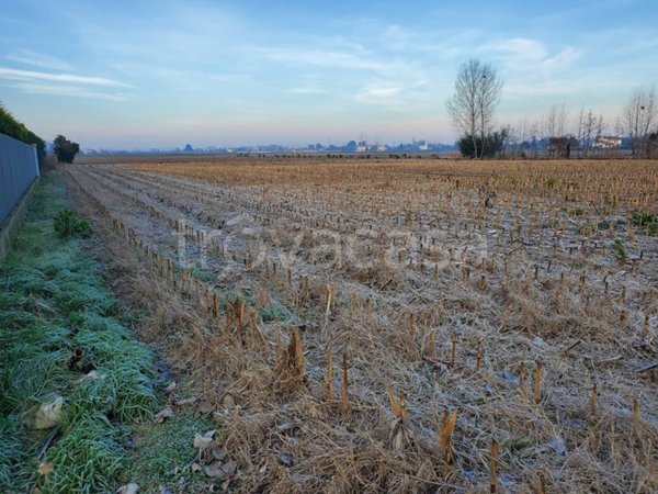 terreno agricolo in vendita a Polverara