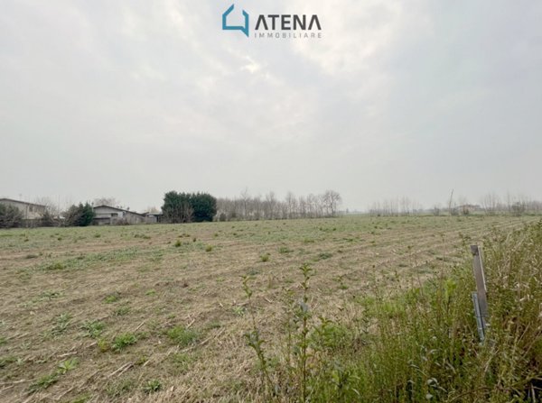 terreno edificabile in vendita a Polverara