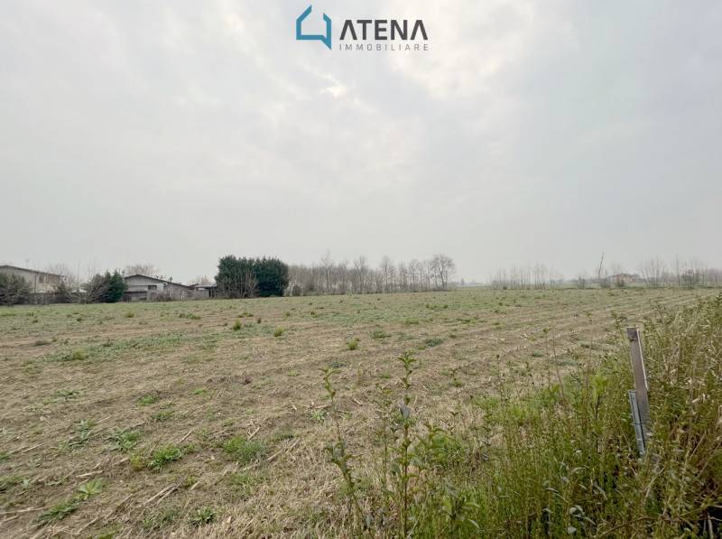 terreno edificabile in vendita a Polverara