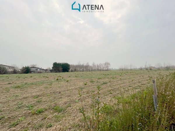 terreno edificabile in vendita a Polverara