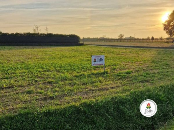 terreno edificabile in vendita a Polverara
