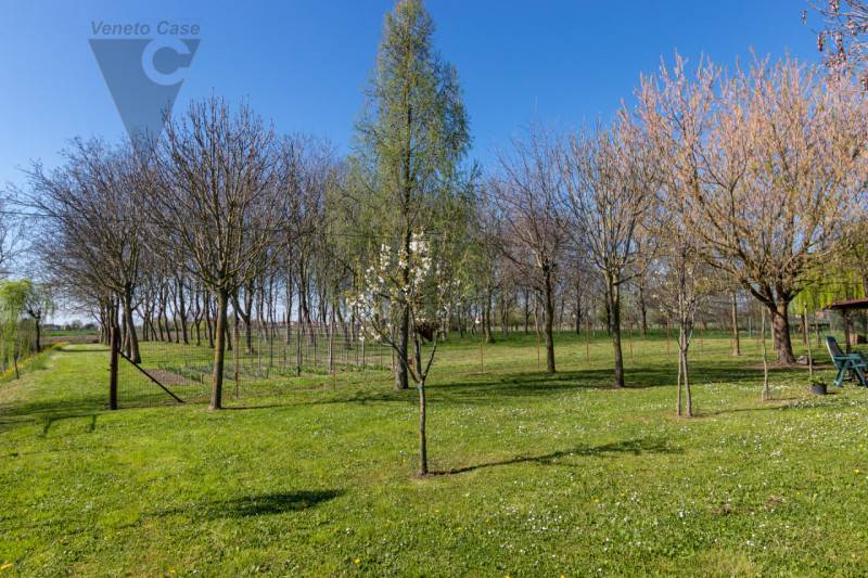 casa indipendente in vendita a Polverara