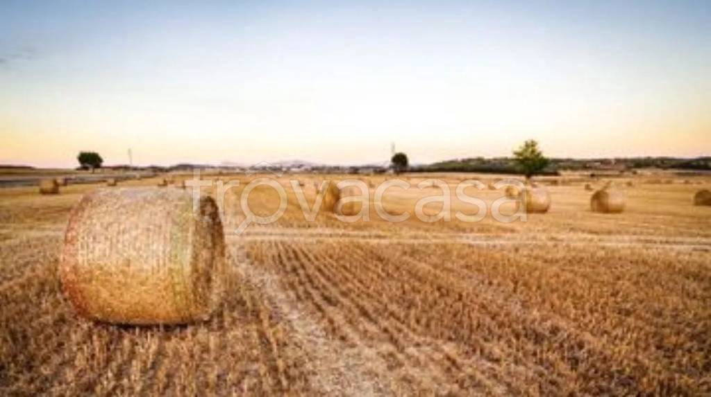 terreno agricolo in vendita a Polverara