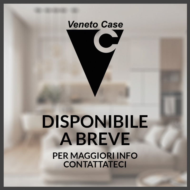 casa indipendente in vendita a Polverara