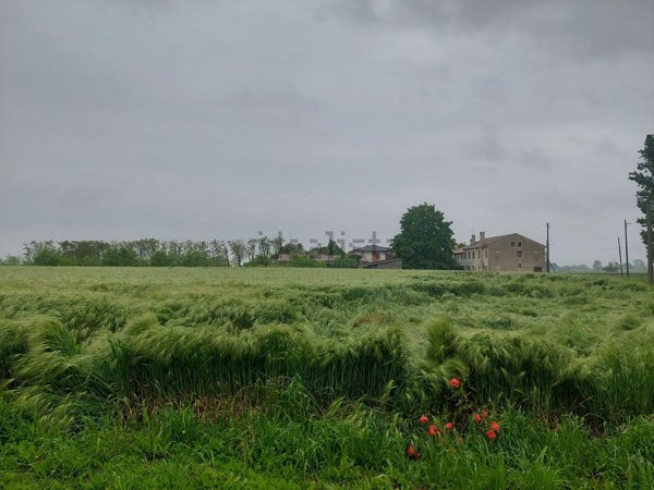 terreno edificabile in vendita a Polverara
