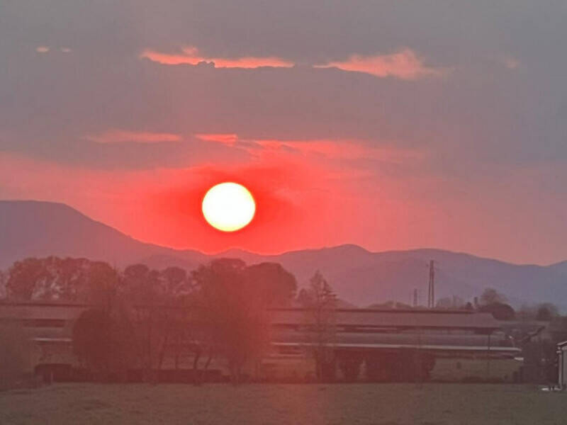 terreno agricolo in vendita a Polverara