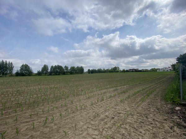 terreno edificabile in vendita a Polverara