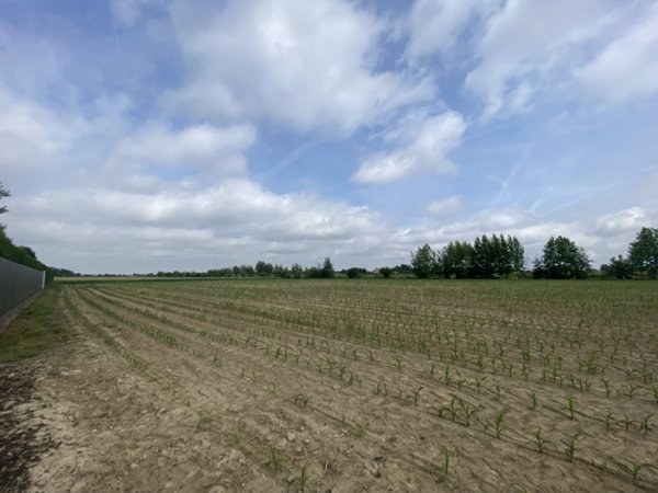 terreno edificabile in vendita a Polverara
