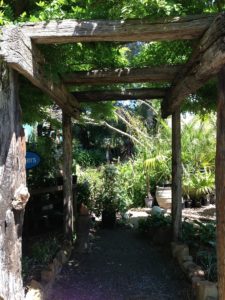 casa indipendente in vendita a Polverara