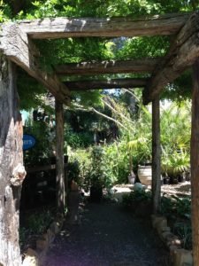 casale in vendita a Polverara
