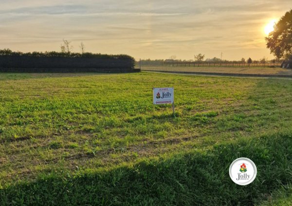 terreno in vendita a Polverara
