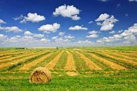 terreno agricolo in vendita a Ponso